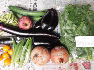 2012年7月21日の元ちゃんの無農薬野菜セット