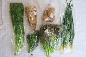 4月3日の無施肥無農薬栽培と自然栽培の定期宅配Sセット/大根、ジャガイモ(北あかり)、葉玉ねぎ、サニーレタス、水菜、菜の花