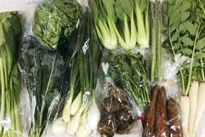 4月10日の無施肥無農薬栽培と自然栽培の定期宅配Mセット/大根葉(中抜き葉)、ジャガイモ(北あかり)、里芋、ニンジン、葉玉ねぎ、レタス、青梗菜(チンゲン菜)、壬生菜、菜の花、アスパラ