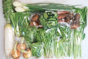 4月13日の無施肥無農薬栽培と自然栽培の定期宅配Lセット/大根、里芋、ニンジン、新玉ねぎ、葉玉ねぎ、レタス、水菜、青梗菜(チンゲン菜)、壬生菜、小松菜、菜の花、菊菜、絹さや、アスパラ、キウイフルーツ