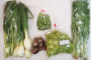 4月12日の無施肥無農薬栽培と自然栽培の定期宅配Sセット/葉玉ねぎ、里芋、リーフレタス、小松菜、水菜、絹さや