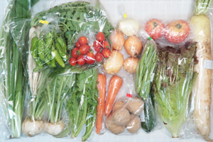 6月21日の無施肥無農薬栽培と自然栽培の定期宅配Lセット/大根、小カブ、玉ねぎ、ジャガイモ(西豊)、ニンジン、ズッキーニ、大根葉(中抜き葉)、サニーレタス、ししとう、インゲン、野沢菜、わさび菜、ニラ、トマト、ミニトマト