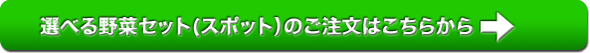選べるセットのスポット購入はこちらから