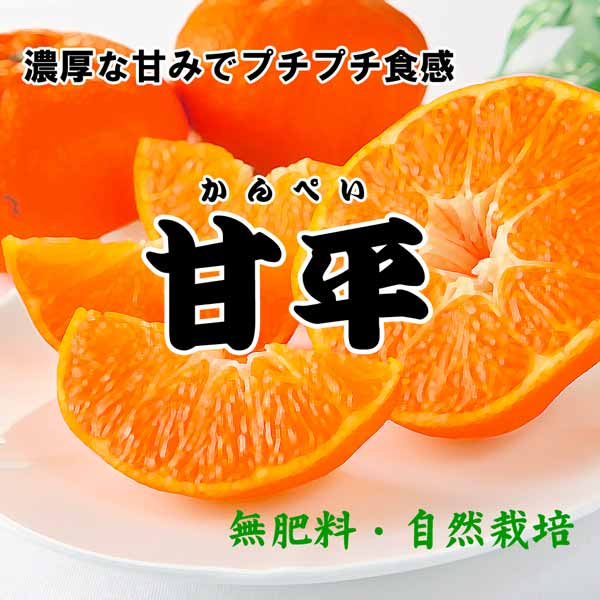 無肥料・自然栽培】甘平（かんぺい）1kg プチプチ食感と濃厚な