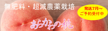 無肥料・超減農薬栽培あらかわの桃
