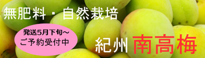 無肥料・自然栽培紀州南高梅