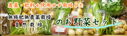 無肥料の旬のお野菜や果物をお届け定期宅配セット