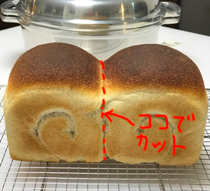 長方形1/2カット
