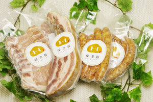 保美豚冷凍生肉5品セット